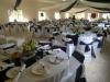 Luchiano eventos