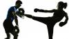 Foto de Kick Boxing personalizado